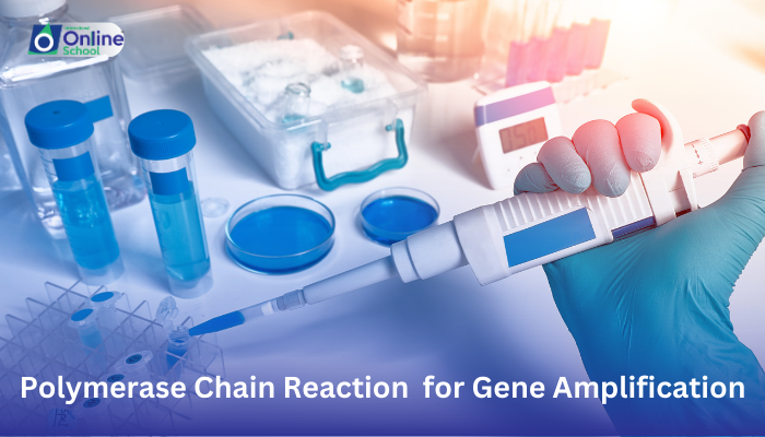 Lesson 08: Explaining Polymerase Chain Reaction (PCR) for Gene Amplification